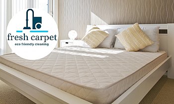 fresh carpet, Θεσσαλονίκη