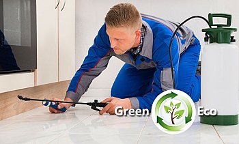 Green Eco